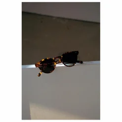 Monokel Lunettes de Soleil Forest | Marron Best