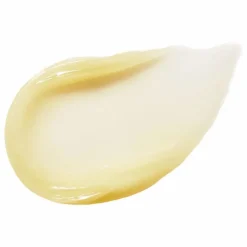 RMS Beauty Masque de nuit pour les lèvres - 9g | Sleepover