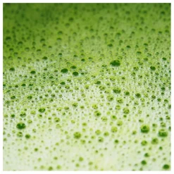 Homme MiYé Compléments Alimentaires|Soins, Wellness|Matcha latte essentiel activateur de métabolisme - 146g