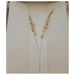 Best Quax Matelas à langer 67x44 cm | Argile