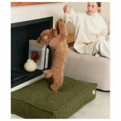 Cafide Matelas pour Chien en bouclette Cuadra |