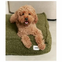 Cafide Matelas pour Chien en bouclette Cuadra |
