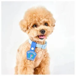 The Furry Folks Accessoires Animaux|Médaille Begging Champion |