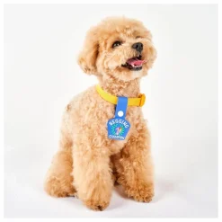 The Furry Folks Accessoires Animaux|Médaille Begging Champion |