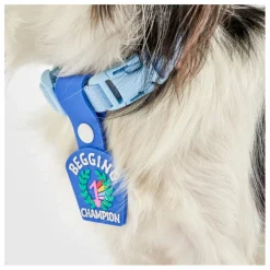 The Furry Folks Accessoires Animaux|Médaille Begging Champion |