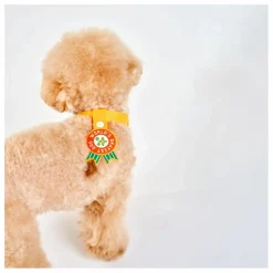 Discount The Furry Folks Médaille World's Okayest Dog | Rouge