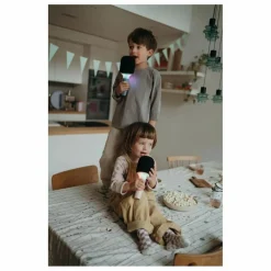 Kidywolf Jeux High-Tech|Micro Karaoké Bluetooth |