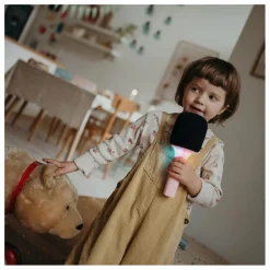 Kidywolf Micro Karaoké Bluetooth | Rose New