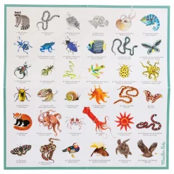 Moulin Roty Mémory des animaux Tout autour du monde