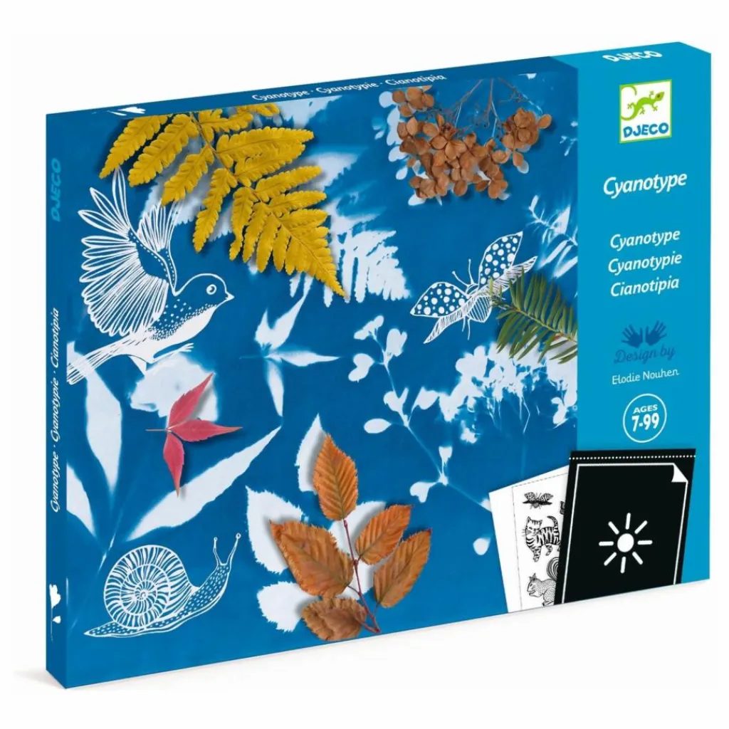 Djeco Loisirs Créatifs|Mon premier kit Cyanotype