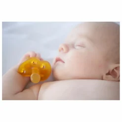 Hevea Pack découverte de 3 tétines