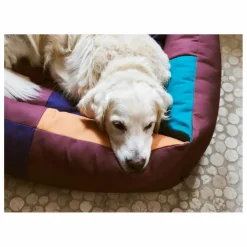 Discount Hay Panier pour chien | Bordeaux