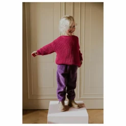 Hot Yuki Pantalon Beau Velours Côtelé Bio | Violet