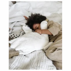 Senger Naturwelt Peluche bouillotte Oie |