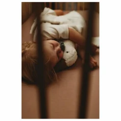 Senger Naturwelt Peluche bouillotte Oie |