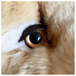 La Pelucherie Peluche Lion Melchior 40 cm | Beige Best