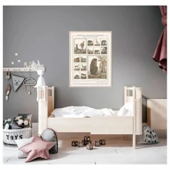 Les Jolies Planches Planche Espèces choisies d'Afrique - Animaux de Buffons Multicolore