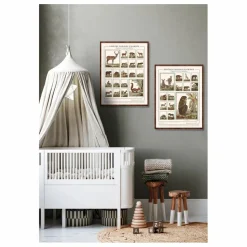 Les Jolies Planches Planche Espèces choisies d'Afrique - Animaux de Buffons Multicolore