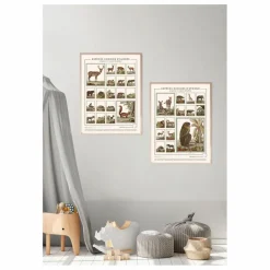 Les Jolies Planches Planche Espèces choisies d'Afrique - Animaux de Buffons Multicolore