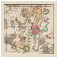 New Les Jolies Planches Planche Zodiaque 1 Multicolore