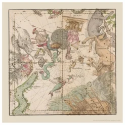 Les Jolies Planches Planche Zodiaque 5 Multicolore Sale