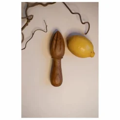 Woodmata Presse agrumes en |