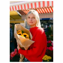 Femme Surprise Paris Pull Jane Super Kid Mohair |