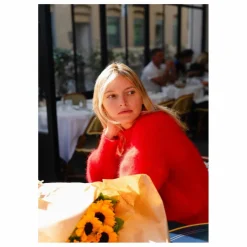 Femme Surprise Paris Pull Jane Super Kid Mohair |