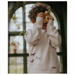Enfant Fliink Pulls, Gilets|Pulls, Gilets|Pull Mahdi Chiens Coton Bio |