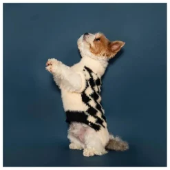 Best The Furry Folks Pull Pixmond | Noir