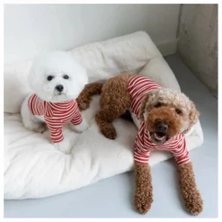 The Furry Folks Pull rayé | Rouge