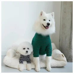 The Furry Folks Accessoires Animaux|Pull rayé |