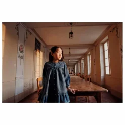 Best Emile et Ida Robe Denim Brodée | Bleu jean