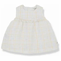 1+ in the family Robe Laia |