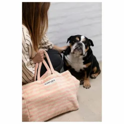 Online Bongusta Sac weekend Naram | Orange