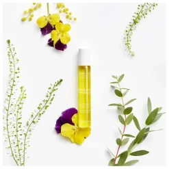 Leonor Greyl Soin régénérescence naturelle - 20ml Non teinté New