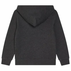 Enfant Ralph Lauren Sweats|Sweats|Sweat à Capuche Logo |