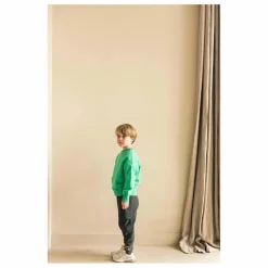 Enfant Jenest Sweats|Sweats|Sweat Art Bird Coton Bio |