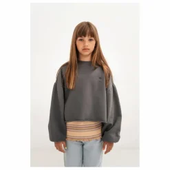 Online Repose AMS Sweat Coton Bio Crop | Gris anthracite