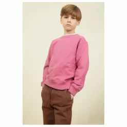 SMALLABLE BASICS Sweat Crewneck Garçon Molleton Bio | Vieux Rose Hot