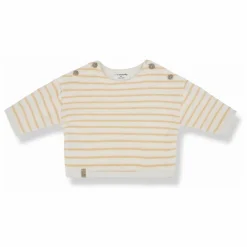 1+ in the family Sweat Enzo Eponge | Jaune Sale