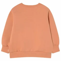 Best Tinycottons Sweat Flowers Eyes Coton Bio | Rouille