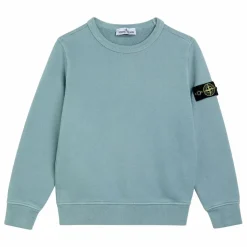 Stone Island Sweat Logo | Bleu Clair Outlet
