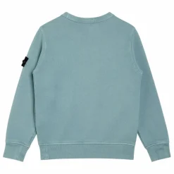 Stone Island Sweat Logo | Bleu Clair Outlet