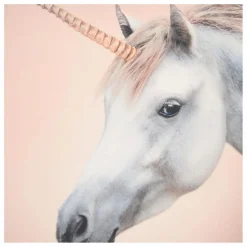 Enfant Molo Sweat Mountoo Coton Bio |