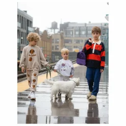 Outlet Mini Rodini Sweat Siamese Coton Bio | Gris chiné