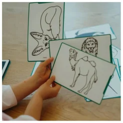 Best Kidywolf Tablette à dessin Kidydraw Mini | Vert foncé