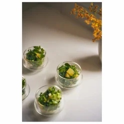 Kinto Tasse à thé Kronos Transparent