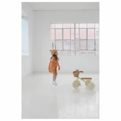 Banwood Tricycle en métal et bois |