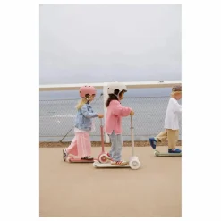 Banwood Trottinette Eco |